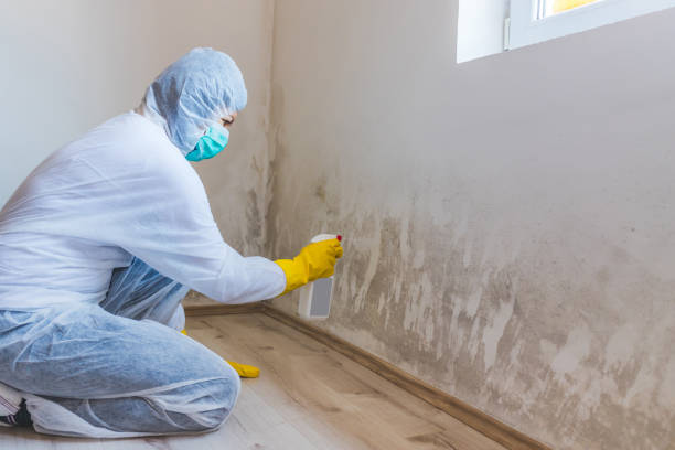 Licensed Commercial Mold Remediation service in Millersville, MD - WQB Mold Removal