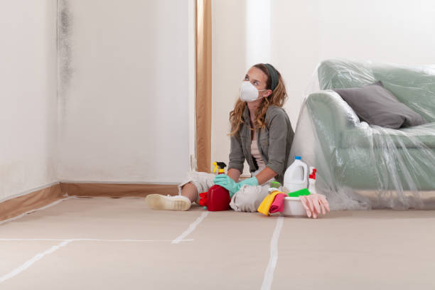 Reliable Commercial Mold Remediation contractor in Millersville, MD by WQB Mold Removal